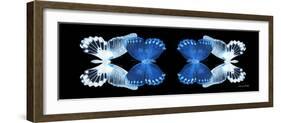 Miss Butterfly Duo Memhowqua Pan - X-Ray Black Edition-Philippe Hugonnard-Framed Photographic Print
