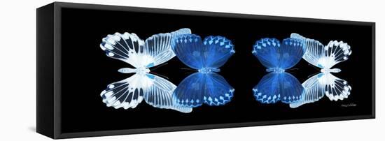 Miss Butterfly Duo Memhowqua Pan - X-Ray Black Edition-Philippe Hugonnard-Framed Stretched Canvas