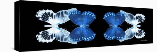 Miss Butterfly Duo Memhowqua Pan - X-Ray Black Edition-Philippe Hugonnard-Stretched Canvas