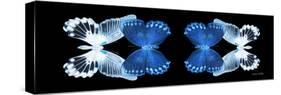 Miss Butterfly Duo Memhowqua Pan - X-Ray Black Edition-Philippe Hugonnard-Stretched Canvas