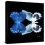 Miss Butterfly Duo Memhowqua Sq - X-Ray Black Edition-Philippe Hugonnard-Stretched Canvas