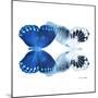 Miss Butterfly Duo Memhowqua Sq - X-Ray White Edition-Philippe Hugonnard-Mounted Photographic Print