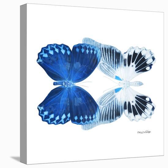 Miss Butterfly Duo Memhowqua Sq - X-Ray White Edition-Philippe Hugonnard-Stretched Canvas