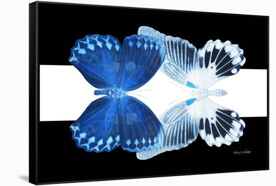 Miss Butterfly Duo Memhowqua - X-Ray B&W Edition II-Philippe Hugonnard-Framed Stretched Canvas