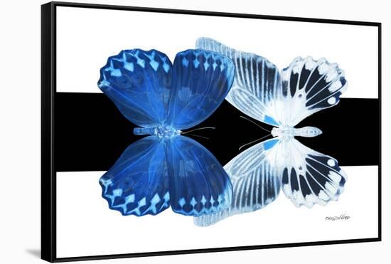 Miss Butterfly Duo Memhowqua - X-Ray B&W Edition-Philippe Hugonnard-Framed Stretched Canvas
