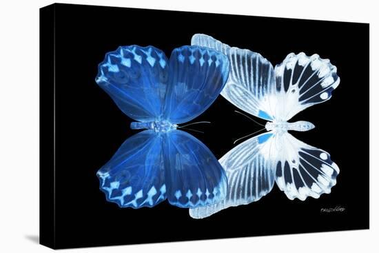 Miss Butterfly Duo Memhowqua - X-Ray Black Edition-Philippe Hugonnard-Stretched Canvas