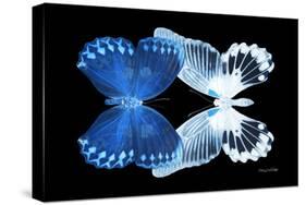 Miss Butterfly Duo Memhowqua - X-Ray Black Edition-Philippe Hugonnard-Stretched Canvas