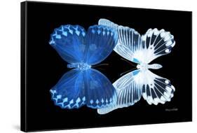 Miss Butterfly Duo Memhowqua - X-Ray Black Edition-Philippe Hugonnard-Framed Stretched Canvas