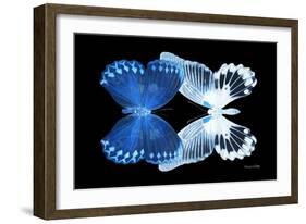 Miss Butterfly Duo Memhowqua - X-Ray Black Edition-Philippe Hugonnard-Framed Photographic Print