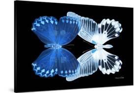 Miss Butterfly Duo Memhowqua - X-Ray Black Edition-Philippe Hugonnard-Stretched Canvas