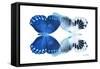 Miss Butterfly Duo Memhowqua - X-Ray White Edition-Philippe Hugonnard-Framed Stretched Canvas