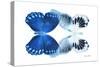 Miss Butterfly Duo Memhowqua - X-Ray White Edition-Philippe Hugonnard-Stretched Canvas