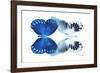 Miss Butterfly Duo Memhowqua - X-Ray White Edition-Philippe Hugonnard-Framed Photographic Print