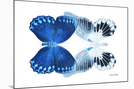 Miss Butterfly Duo Memhowqua - X-Ray White Edition-Philippe Hugonnard-Mounted Photographic Print