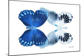 Miss Butterfly Duo Memhowqua - X-Ray White Edition-Philippe Hugonnard-Mounted Photographic Print
