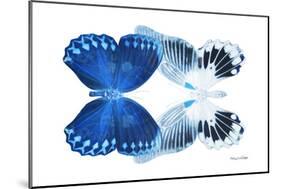 Miss Butterfly Duo Memhowqua - X-Ray White Edition-Philippe Hugonnard-Mounted Photographic Print