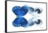 Miss Butterfly Duo Memhowqua - X-Ray White Edition-Philippe Hugonnard-Framed Stretched Canvas