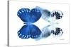 Miss Butterfly Duo Memhowqua - X-Ray White Edition-Philippe Hugonnard-Stretched Canvas