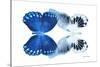 Miss Butterfly Duo Memhowqua - X-Ray White Edition-Philippe Hugonnard-Stretched Canvas