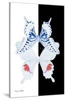 Miss Butterfly Duo Parisuthus II - X-Ray B&W Edition-Philippe Hugonnard-Stretched Canvas