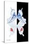 Miss Butterfly Duo Parisuthus II - X-Ray B&W Edition-Philippe Hugonnard-Stretched Canvas