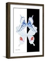 Miss Butterfly Duo Parisuthus II - X-Ray B&W Edition-Philippe Hugonnard-Framed Photographic Print
