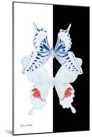 Miss Butterfly Duo Parisuthus II - X-Ray B&W Edition-Philippe Hugonnard-Mounted Photographic Print