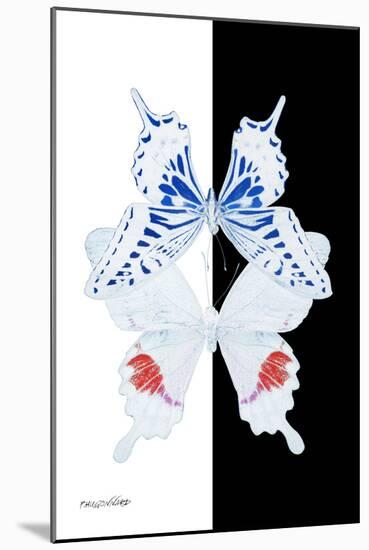 Miss Butterfly Duo Parisuthus II - X-Ray B&W Edition-Philippe Hugonnard-Mounted Photographic Print