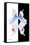 Miss Butterfly Duo Parisuthus II - X-Ray B&W Edition-Philippe Hugonnard-Framed Stretched Canvas