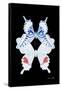 Miss Butterfly Duo Parisuthus II - X-Ray Black Edition-Philippe Hugonnard-Framed Stretched Canvas