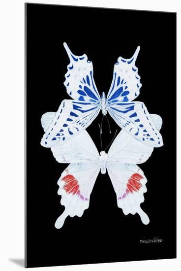 Miss Butterfly Duo Parisuthus II - X-Ray Black Edition-Philippe Hugonnard-Mounted Premium Photographic Print