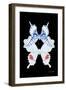 Miss Butterfly Duo Parisuthus II - X-Ray Black Edition-Philippe Hugonnard-Framed Photographic Print