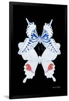 Miss Butterfly Duo Parisuthus II - X-Ray Black Edition-Philippe Hugonnard-Framed Photographic Print