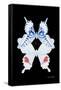 Miss Butterfly Duo Parisuthus II - X-Ray Black Edition-Philippe Hugonnard-Framed Stretched Canvas