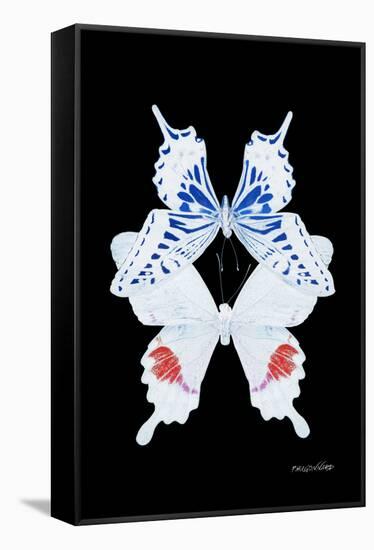 Miss Butterfly Duo Parisuthus II - X-Ray Black Edition-Philippe Hugonnard-Framed Stretched Canvas