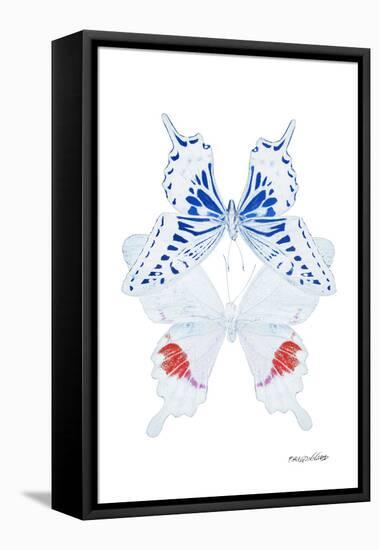 Miss Butterfly Duo Parisuthus II - X-Ray White Edition-Philippe Hugonnard-Framed Stretched Canvas
