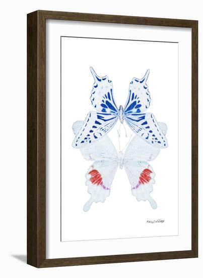 Miss Butterfly Duo Parisuthus II - X-Ray White Edition-Philippe Hugonnard-Framed Photographic Print