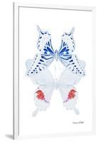 Miss Butterfly Duo Parisuthus II - X-Ray White Edition-Philippe Hugonnard-Framed Photographic Print