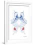 Miss Butterfly Duo Parisuthus II - X-Ray White Edition-Philippe Hugonnard-Framed Photographic Print