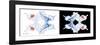 Miss Butterfly Duo Parisuthus Pan - X-Ray B&W Edition-Philippe Hugonnard-Framed Photographic Print