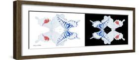 Miss Butterfly Duo Parisuthus Pan - X-Ray B&W Edition-Philippe Hugonnard-Framed Photographic Print
