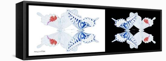 Miss Butterfly Duo Parisuthus Pan - X-Ray B&W Edition-Philippe Hugonnard-Framed Stretched Canvas