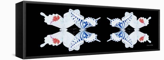 Miss Butterfly Duo Parisuthus Pan - X-Ray Black Edition II-Philippe Hugonnard-Framed Stretched Canvas