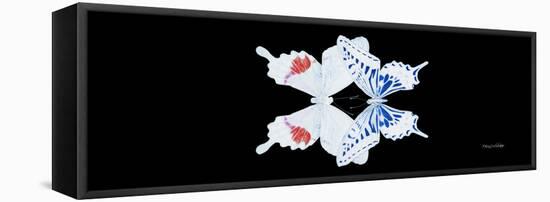 Miss Butterfly Duo Parisuthus Pan - X-Ray Black Edition-Philippe Hugonnard-Framed Stretched Canvas