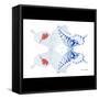 Miss Butterfly Duo Parisuthus Sq - X-Ray B&W Edition-Philippe Hugonnard-Framed Stretched Canvas