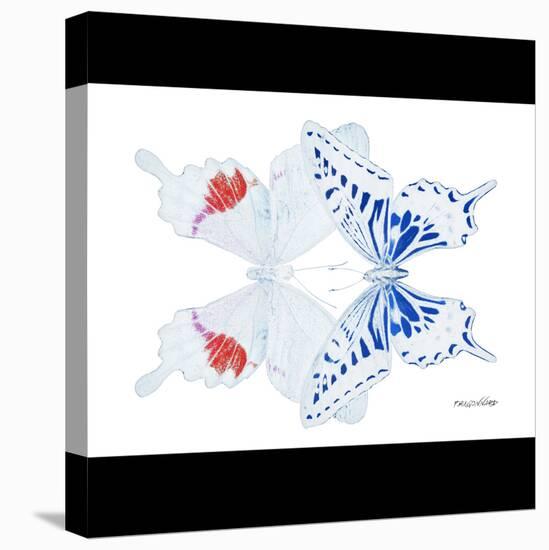 Miss Butterfly Duo Parisuthus Sq - X-Ray B&W Edition-Philippe Hugonnard-Stretched Canvas