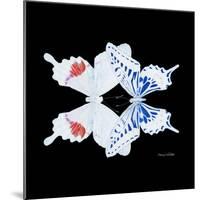 Miss Butterfly Duo Parisuthus Sq - X-Ray Black Edition-Philippe Hugonnard-Mounted Photographic Print