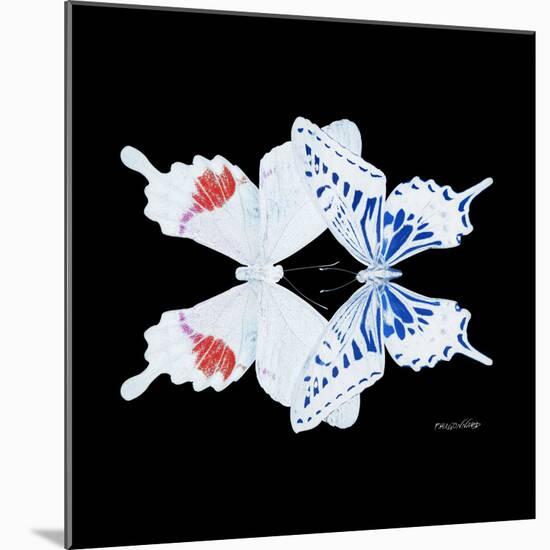 Miss Butterfly Duo Parisuthus Sq - X-Ray Black Edition-Philippe Hugonnard-Mounted Photographic Print