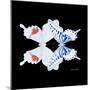 Miss Butterfly Duo Parisuthus Sq - X-Ray Black Edition-Philippe Hugonnard-Mounted Photographic Print