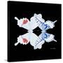 Miss Butterfly Duo Parisuthus Sq - X-Ray Black Edition-Philippe Hugonnard-Stretched Canvas